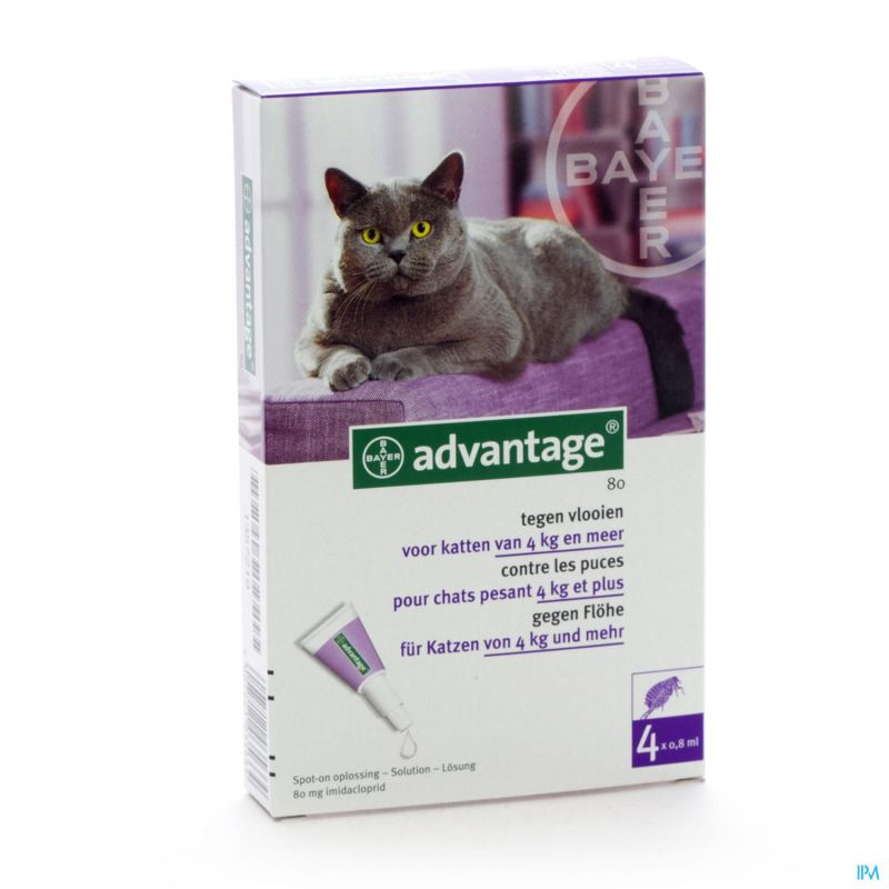 Advantage 80 Chats >4kg 4x0,8ml