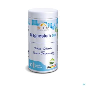 Magnesium 500 90g