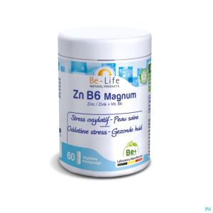 Zn B6 Magnum 60g