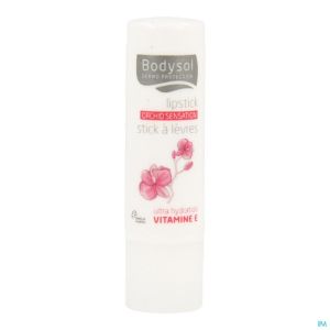 Bodysol Stick Levres Repar. Orchid 4,8g