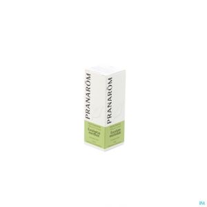 Eucalyptus Menthole Hle Ess 10ml Pranarom