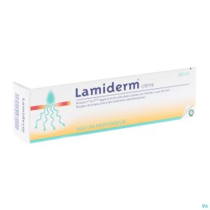 Lamiderm Creme Brulures 1°+2° Tube 60ml