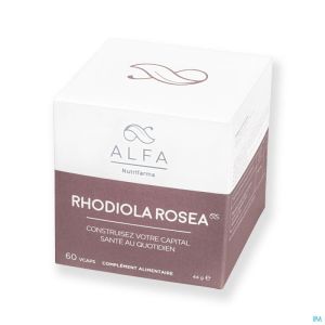 Alfa rhodiola rosea    v-caps  60