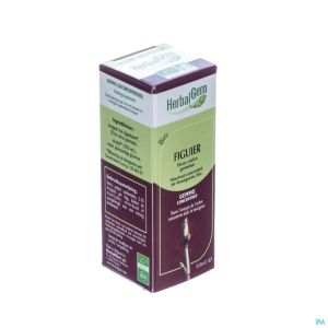 Herbalgem Figuier Macerat 50ml