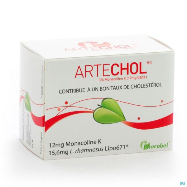 Artechol Gel 60