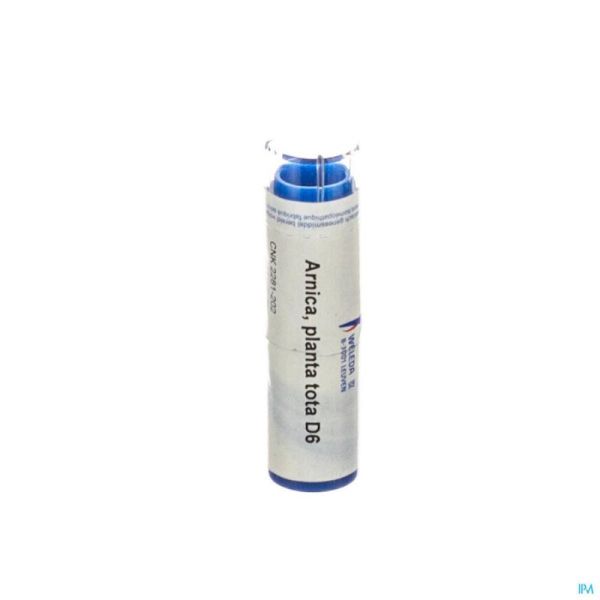 Arnica Planta Tota D6 Gr 4g Weleda