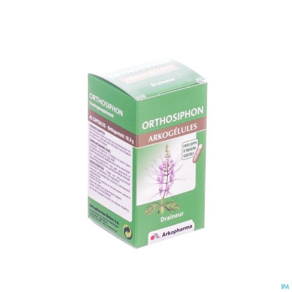Arkogelules orthosiphon vegetal 45