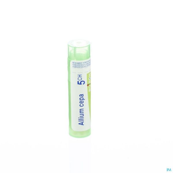 Allium Cepa 5ch Gr 4g Boiron