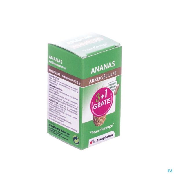 Arkogelules ananas vegetal 45
